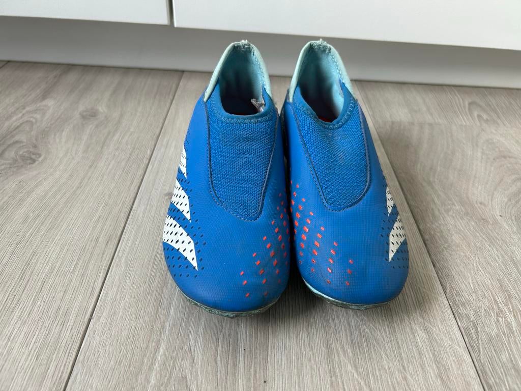 Blauwe Adidas Predator voetbalschoenen, Ophalen, Gebruikt, Maat XS of kleiner, Schoenen