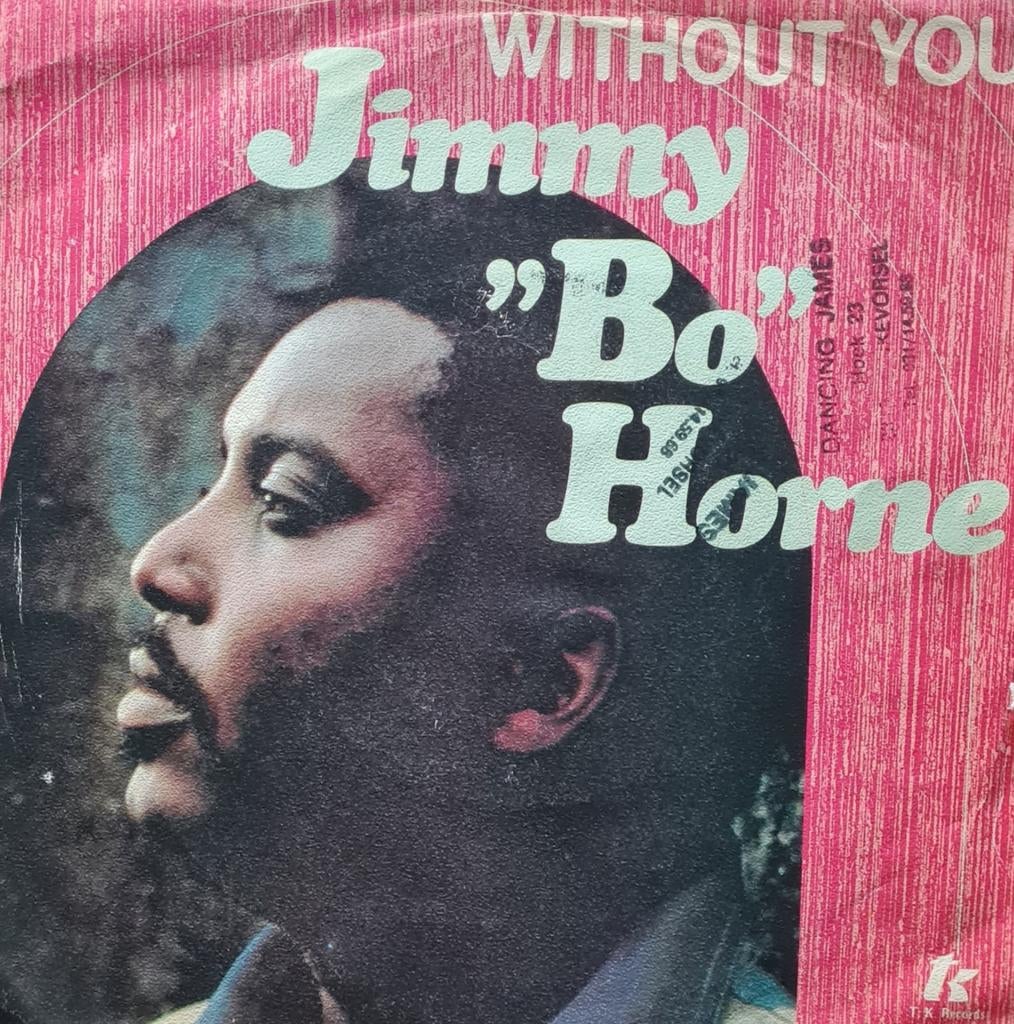JIMMY "BO" HORNE - WITHOUT YOU, Cd's en Dvd's, Ophalen of Verzenden, Gebruikt, Pop