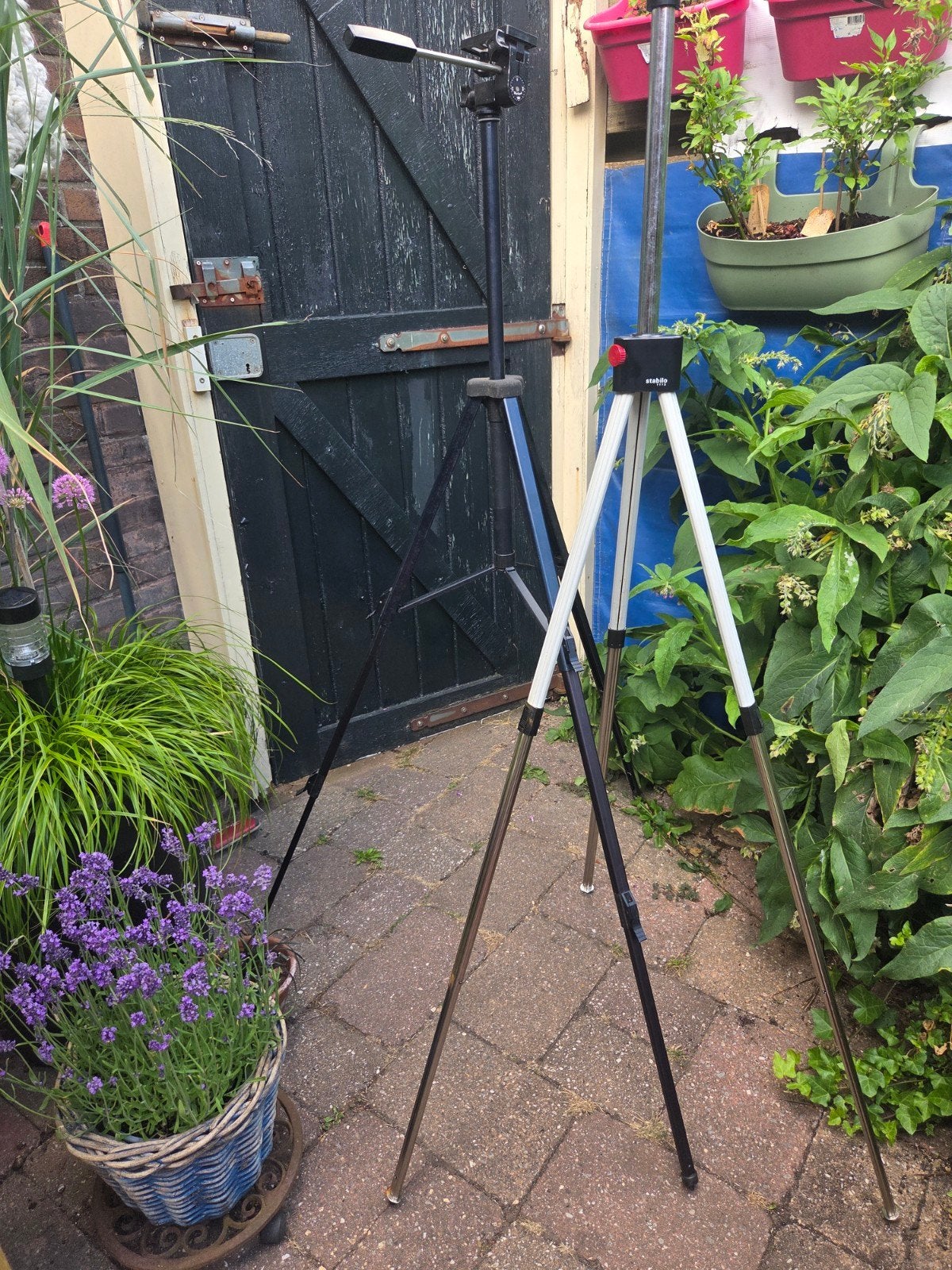 Stabilo + variant Statief met Balhoofd - Gebruikt, Ophalen, Driepoot, 150 tot 175 cm, Met balhoofd