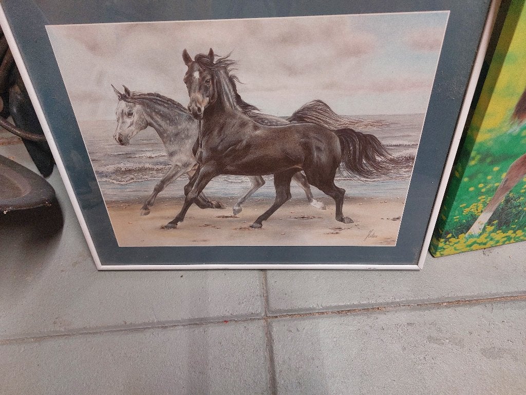 2 schildery met paard erop, Ophalen of Verzenden