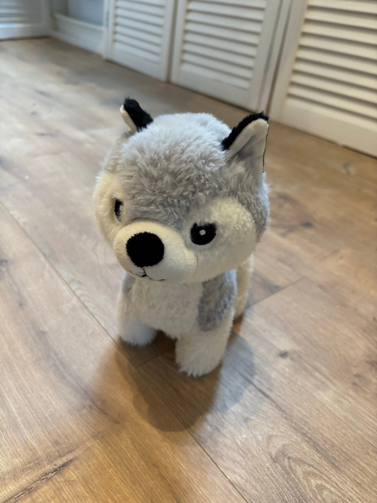 Schattig speelgoed hondje - knuffel husky, Grijs, Zo goed als nieuw, Middelgroot (20 tot 80 cm), Hond