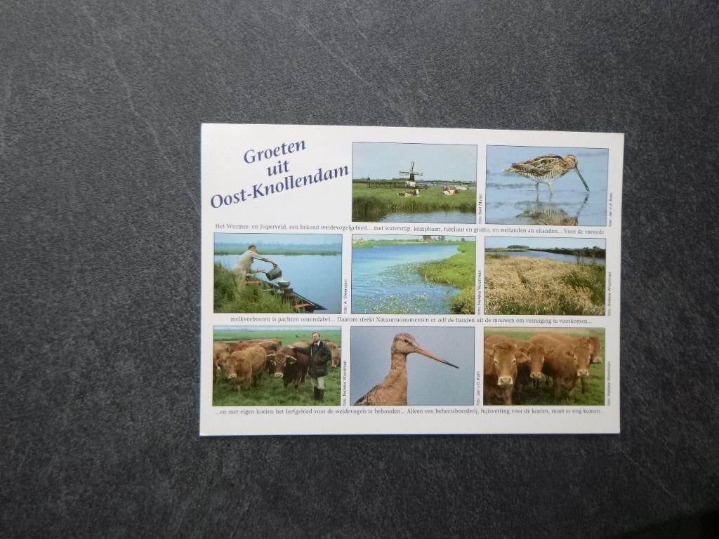 Oost-Knollendam / Gul voor de grutto, Verzenden, 1980 tot heden, Gelopen, Zeeland