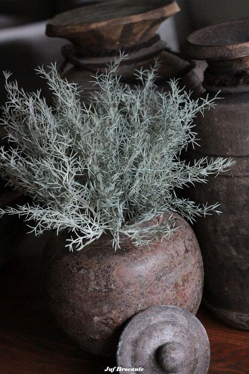 Asparagus bush, toef, toefje, zijdebloem, kunst, bos, Www.jufbrocante.nl, Www.jufbrocante.nl, Nieuw, Ophalen of Verzenden