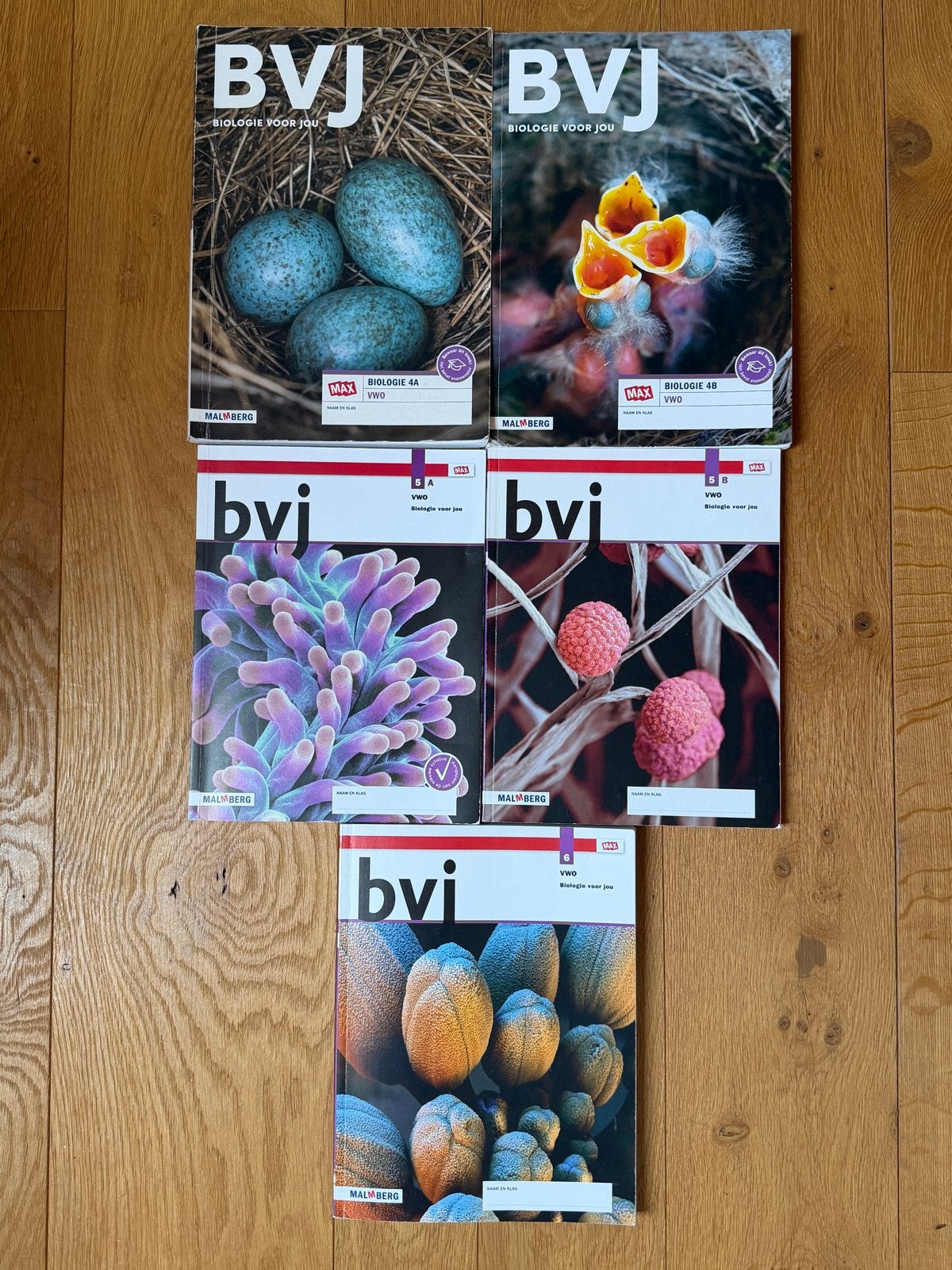 BVJ Biologie voor jou VWO 4, 5 en 6 (5 boeken), Ophalen of Verzenden, Gelezen, VWO, Biologie