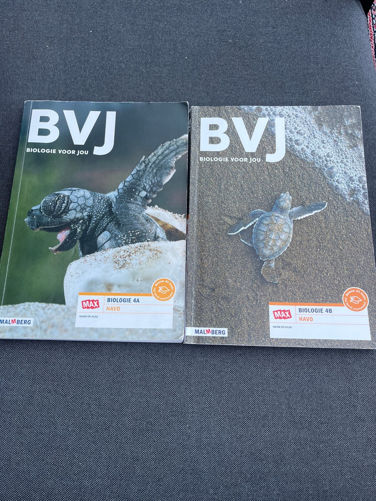 BVJ Biologie voor jou 4A en 4B HAVO, Boeken, Ophalen of Verzenden, Zo goed als nieuw, HAVO, Biologie