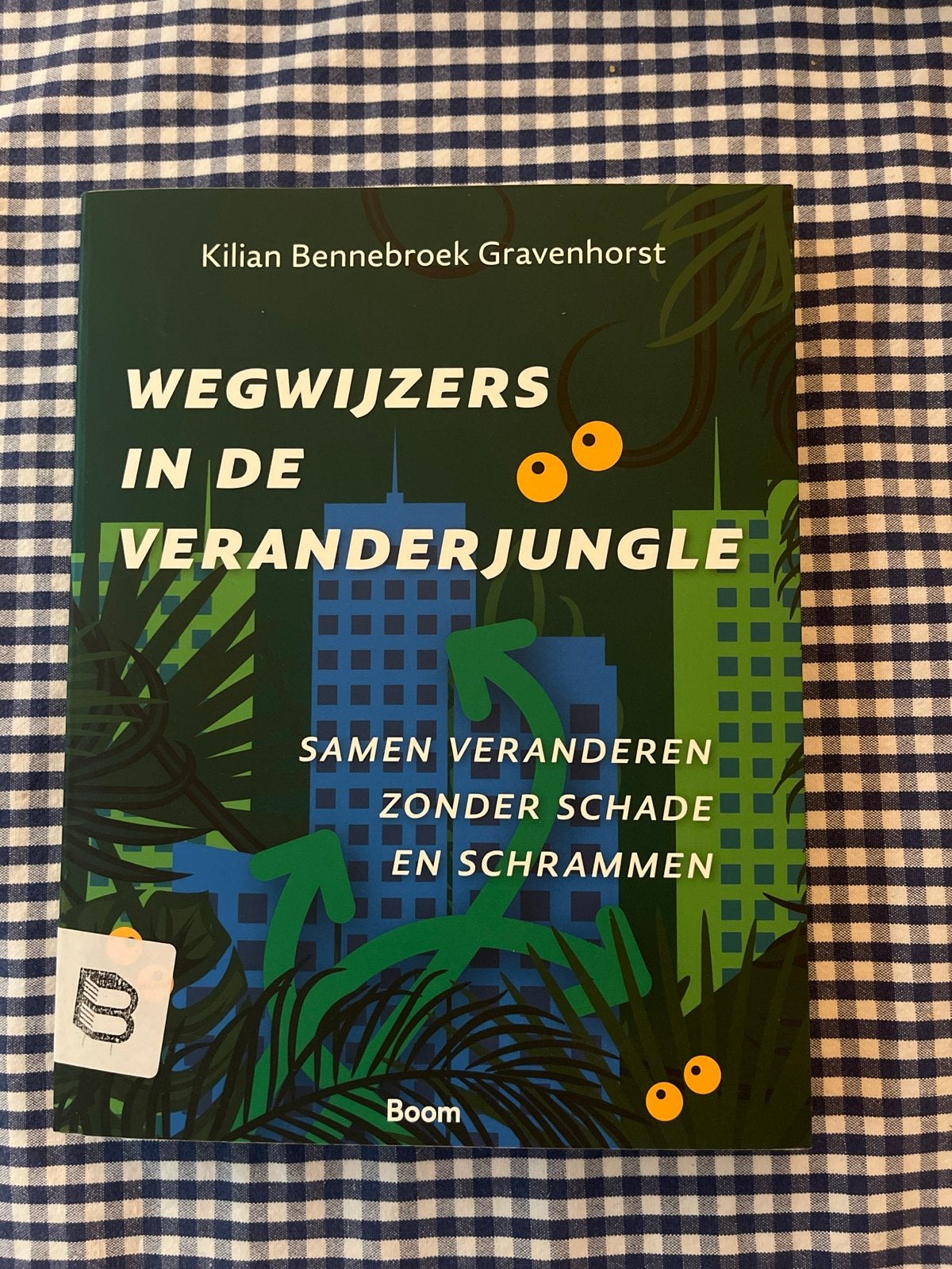 Wegwijzers in de Veranderjungle - Kilian Bennebroek, Boeken, Ophalen of Verzenden, Gelezen