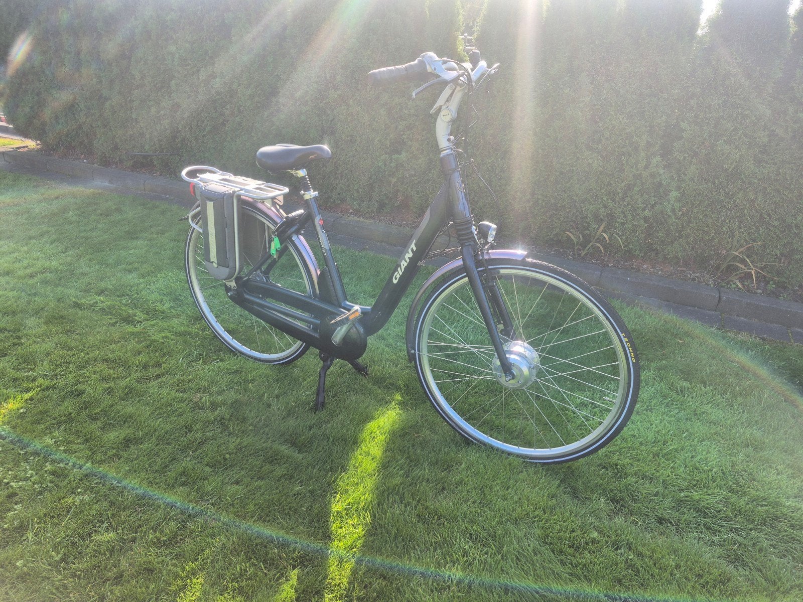 Giant Dames Ebike  dubbel accu, Ophalen of Verzenden, Gebruikt