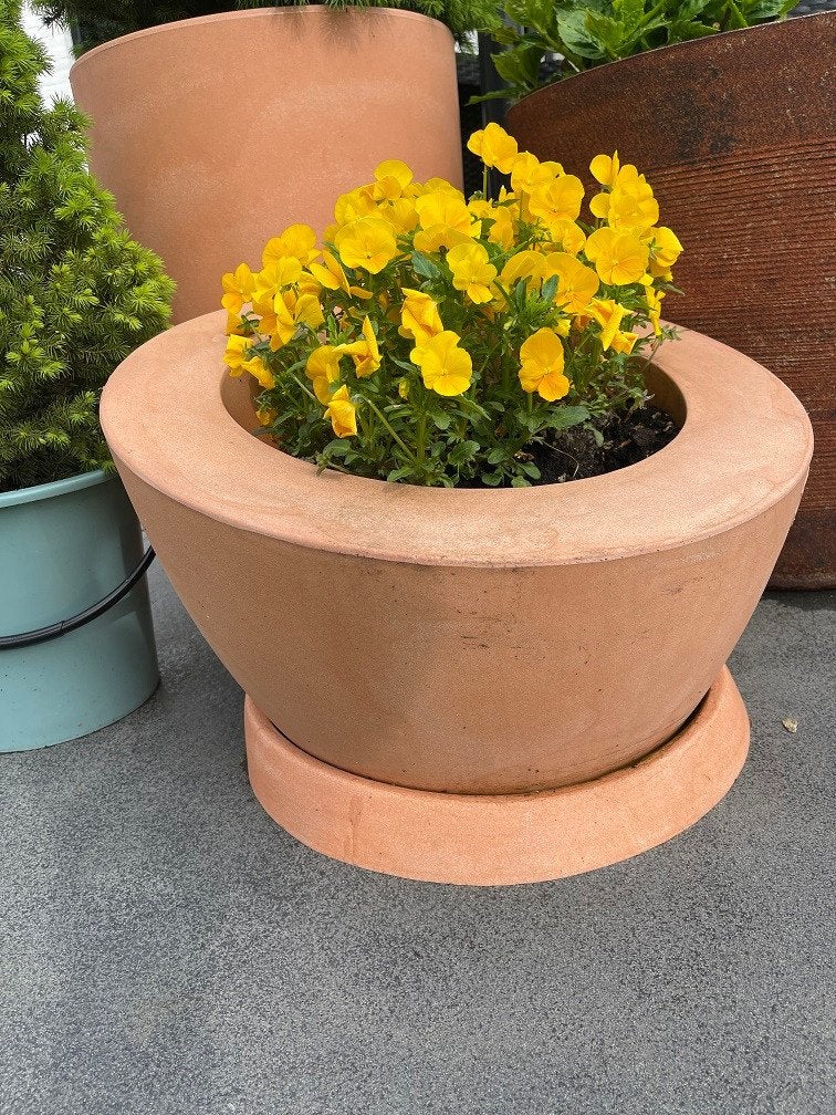 2 model Ronde schaal Plantenbak bloembak kunststof bloempot, Kunststof, 40 cm of meer, Rond, Nieuw