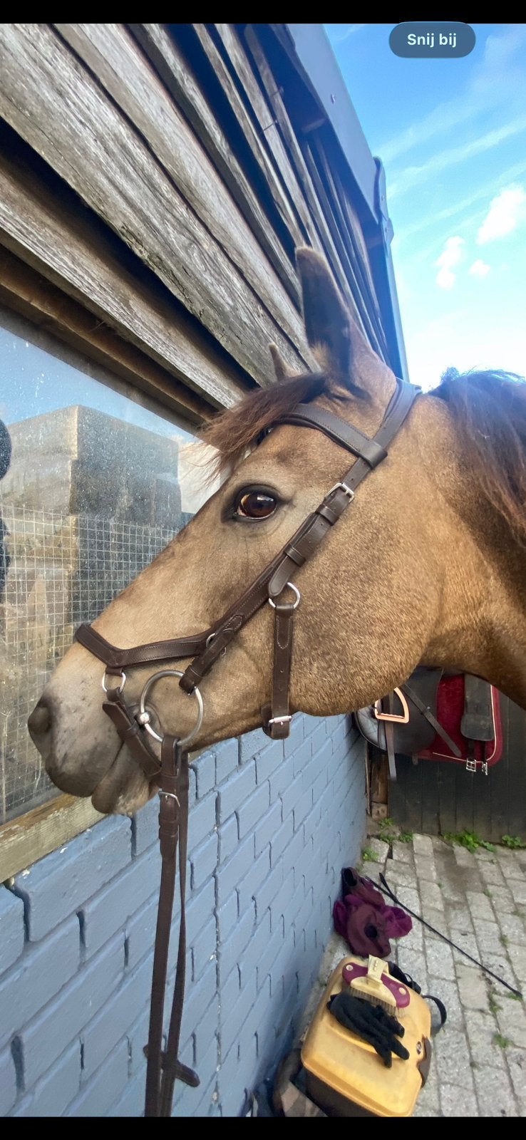 Bruin Rambo Micklem hoofdstel anatomisch (cob), Dieren en Toebehoren, Bruin, Rambo, Ophalen of Verzenden, Anatomisch gevormd