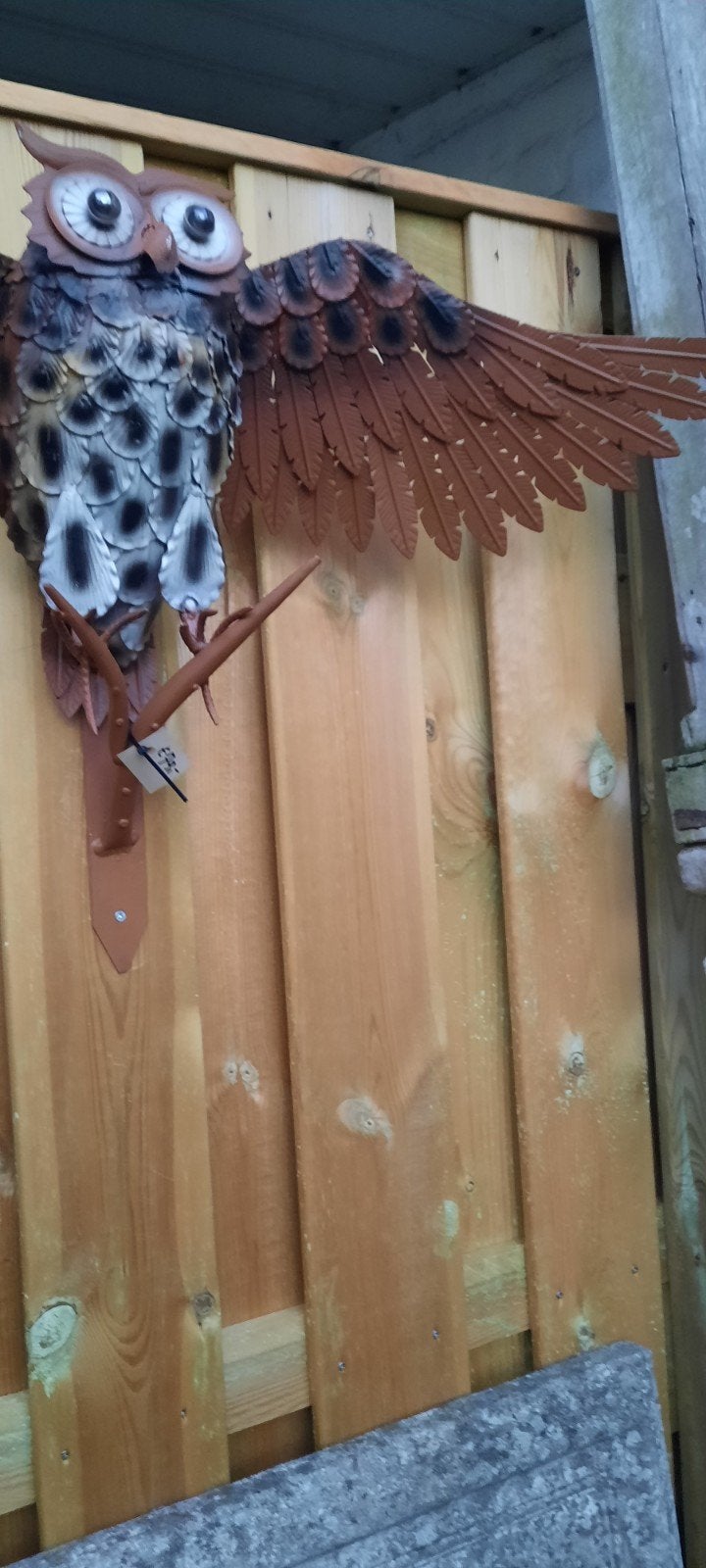 Metalen Uil Wanddecoratie - Tuin of Binnen, Ophalen of Verzenden, Nieuw
