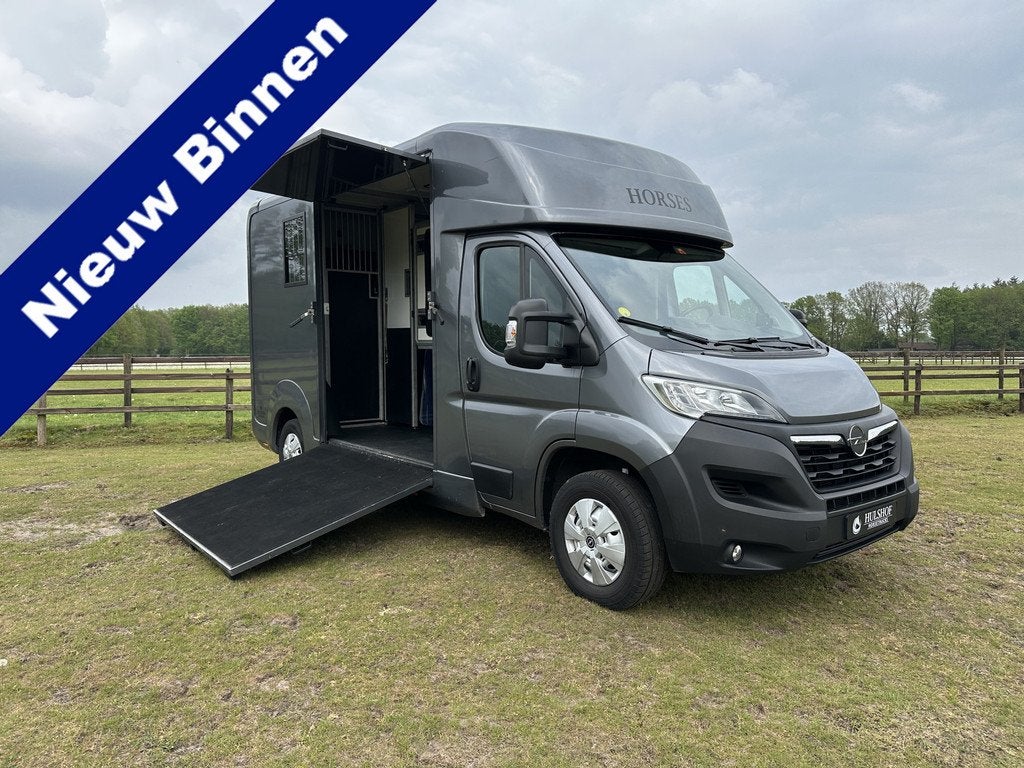 Opel Movano AKX 2-paards paardenvrachtwagen B-rijbewijs 3000, Dieren en Toebehoren, Gebruikt, Info@hulshof-trading.nl, Overige typen