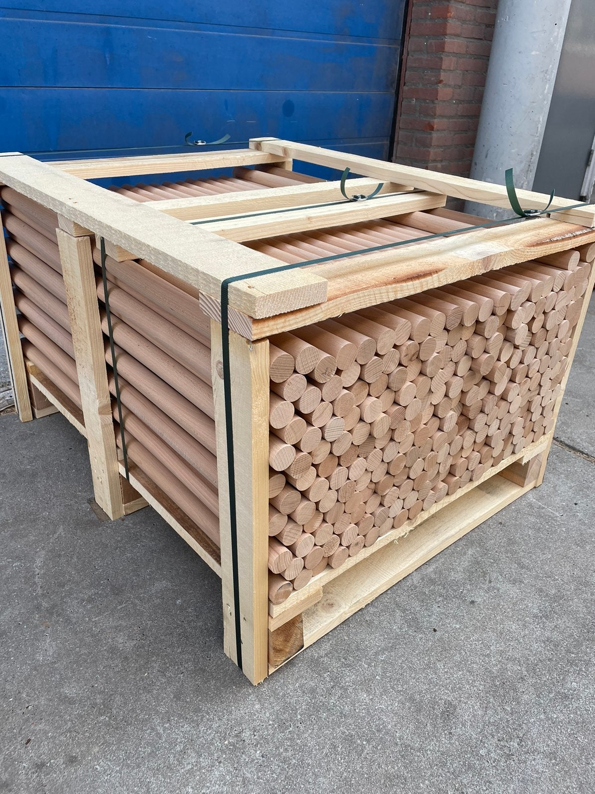 Partij beuken 35mm stokken rondhout 1meter lang, Ophalen, 25 tot 50 mm, Overige typen, Nieuw