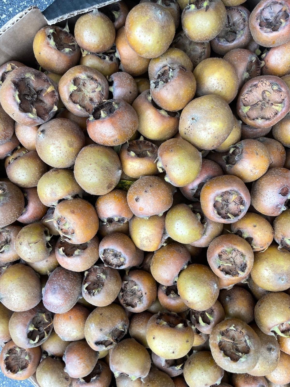 Verse Mispels - Direct van de boomgaard 10 kilo, Diversen, Ophalen