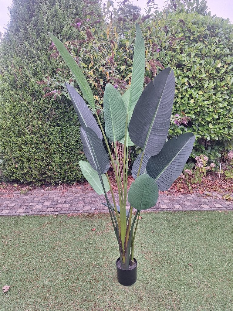 Prachtige XL Strelitzia kunstplant, 2 meter, Huis en Inrichting, Ophalen, Binnen, Groen, Kunstplant