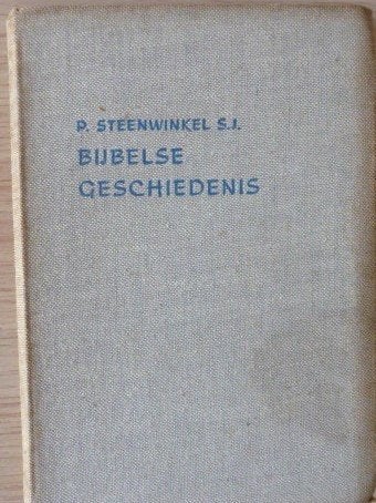 Bijbelse Geschiedenis - P. Steenwinkel S.J., Gelezen, P. Steenwinkel S.J., Christendom | Katholiek, Ophalen of Verzenden