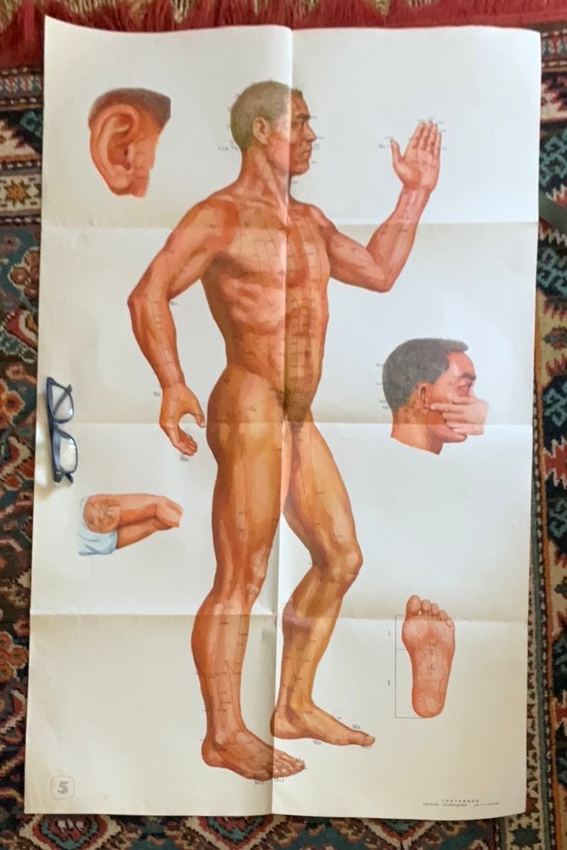8 anatomie- en acupunctuurposters met boekjes, Ophalen of Verzenden, Apparaat