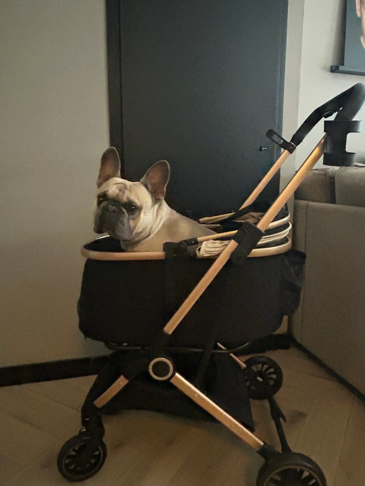 Honden buggy, Ophalen of Verzenden, Zo goed als nieuw