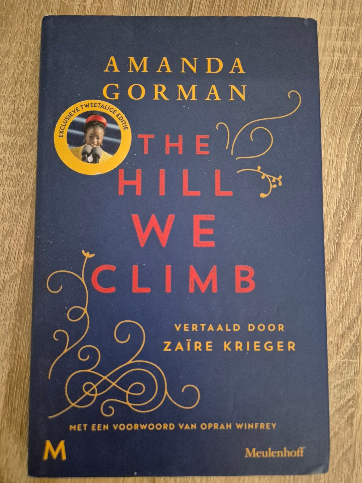 Amanda Gorman - The Hill We Climb, Ophalen of Verzenden, Zo goed als nieuw, Amanda Gorman