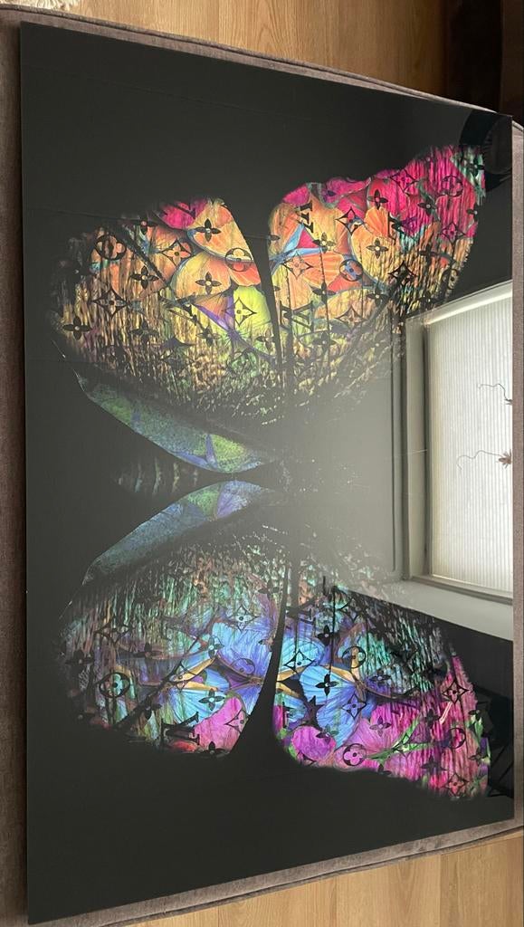 Plexiglas schilderij met vlinder, Antiek en Kunst, Ophalen