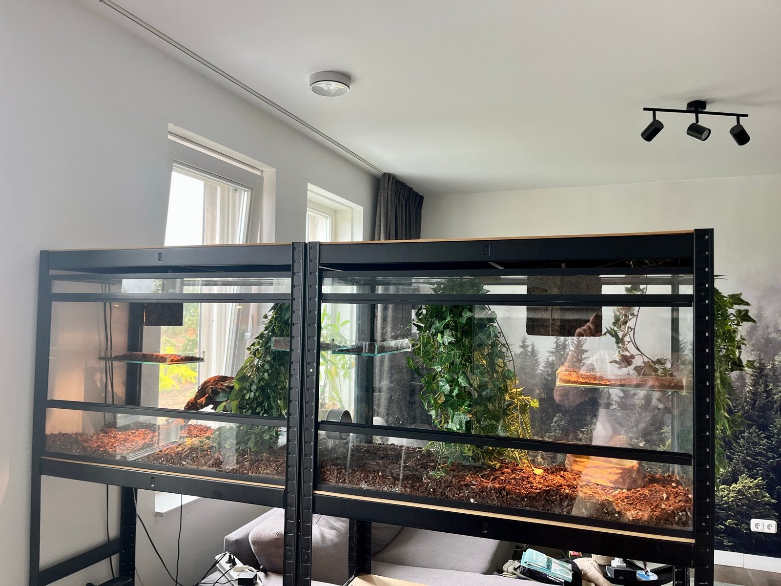 Dubbel terrarium, Dieren en Toebehoren, Ophalen, Zo goed als nieuw, Terrarium of Paludarium