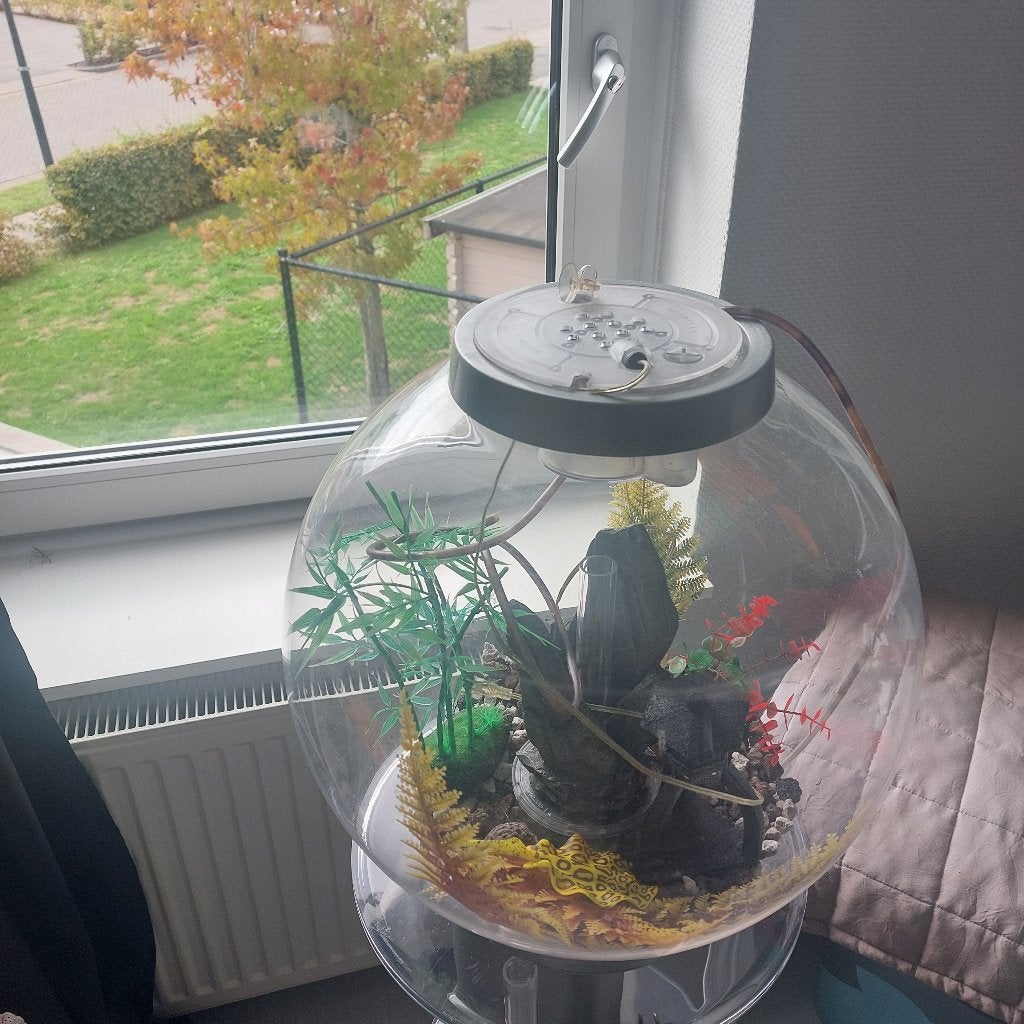 Biorb, Ophalen, Gebruikt, Overige merken, Gevuld zoetwateraquarium