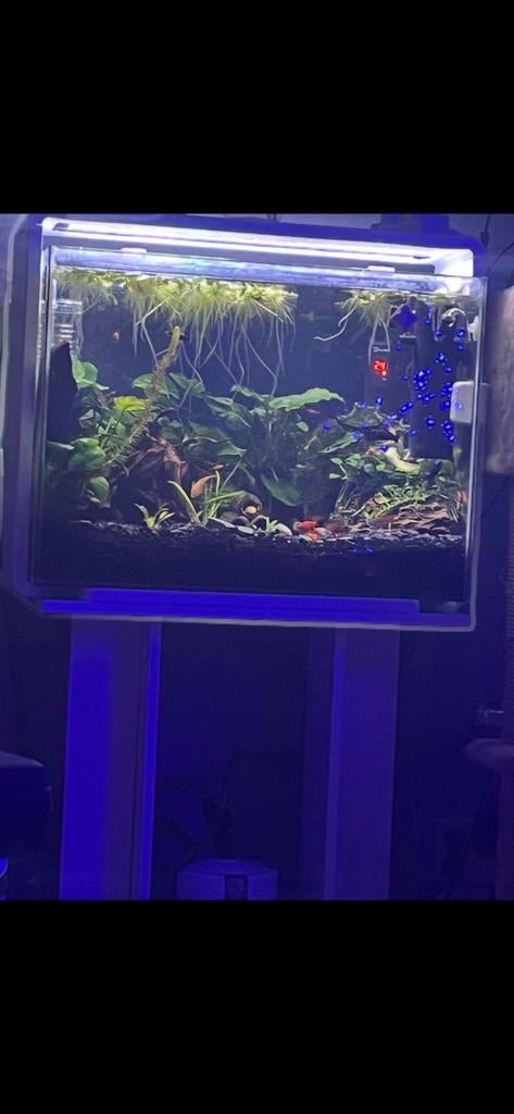 Aquarium 85 liter alleen de bak, Ophalen of Verzenden, Gebruikt, Gevuld zoetwateraquarium