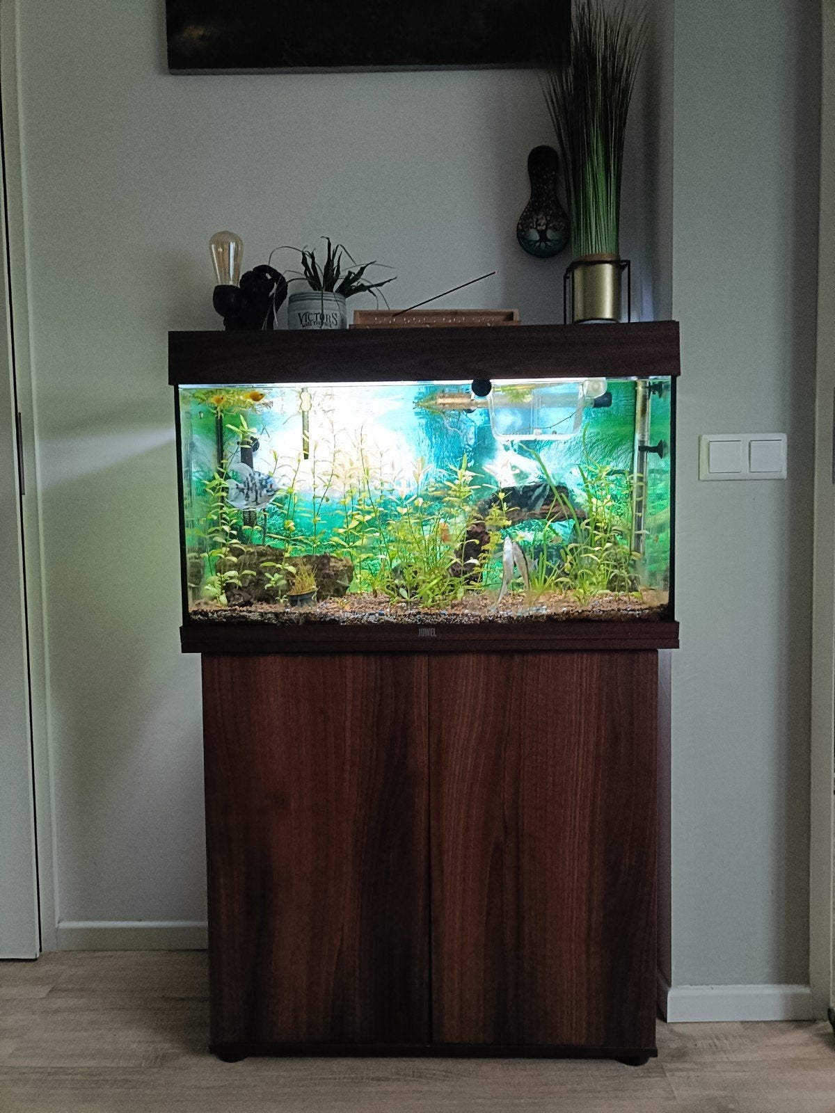 aquarium incl pomp en verwarming, Dieren en Toebehoren, Ophalen, Zo goed als nieuw, Aquariummeubel, Juwel