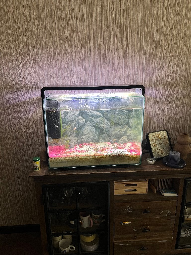 Superfish aquarium, Ophalen of Verzenden, Pomp, Zo goed als nieuw, Verlichting of Verwarming