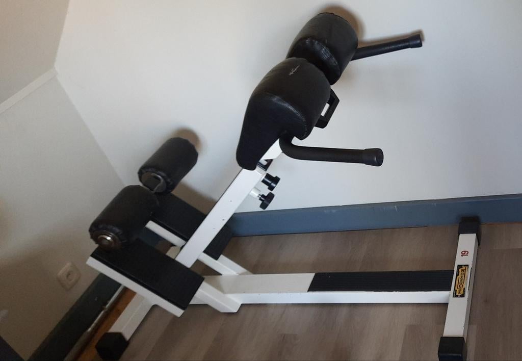 Technogym hyperextension / rugtrainer, Sport en Fitness, Ophalen, Gebruikt, Krachtstation