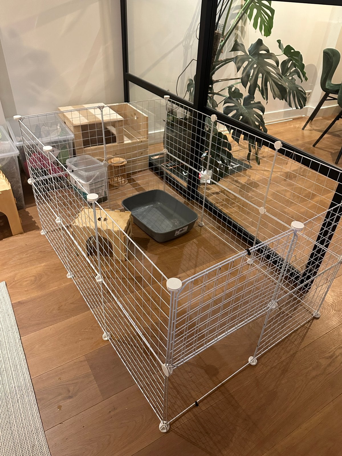 Konijnenren, Dieren en Toebehoren, Ophalen, Cavia, 60 tot 90 cm, Ren