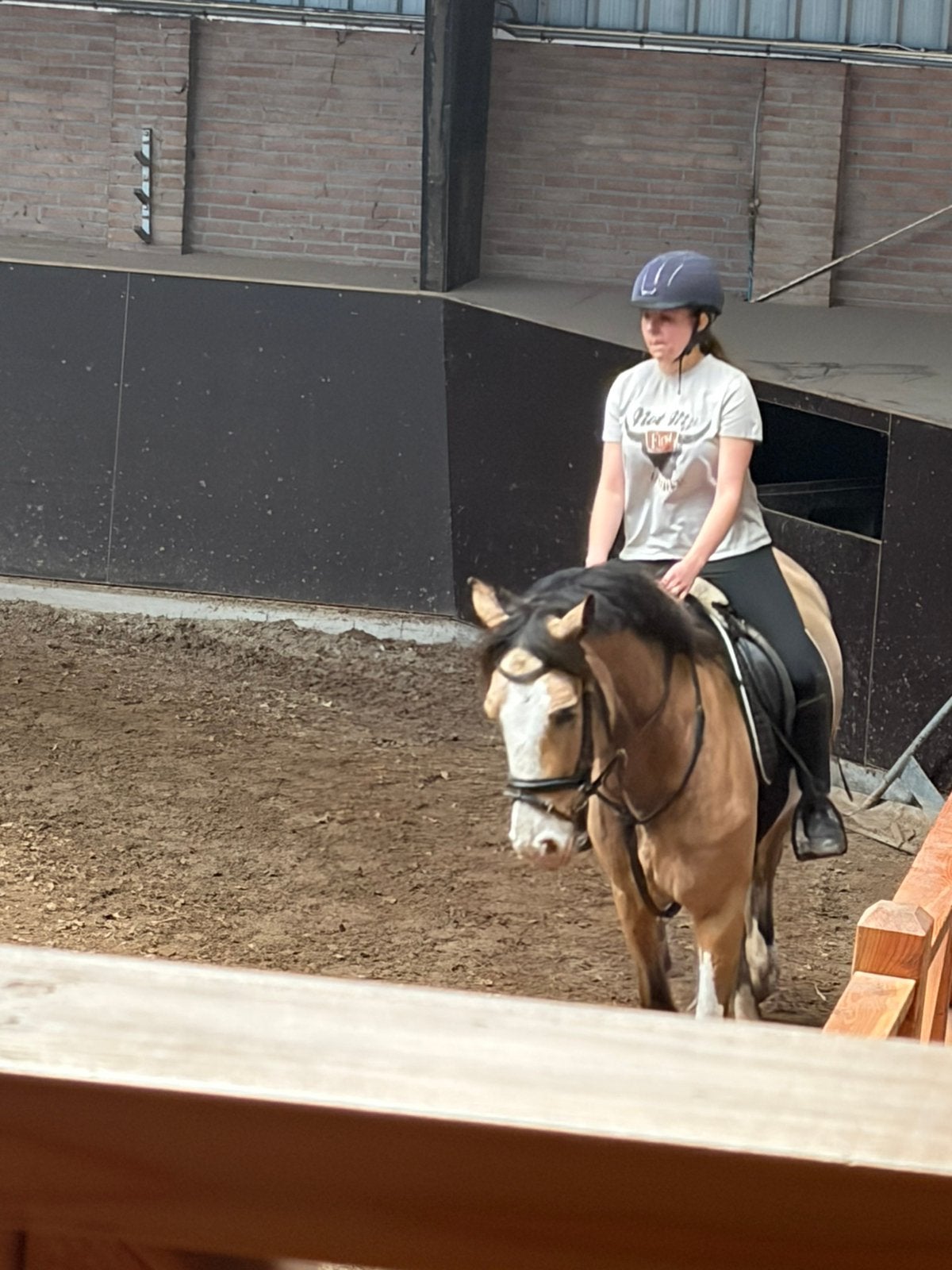 Verzorgster aangeboden/verzorgpaard gezocht, Ophalen of Verzenden, Zo goed als nieuw