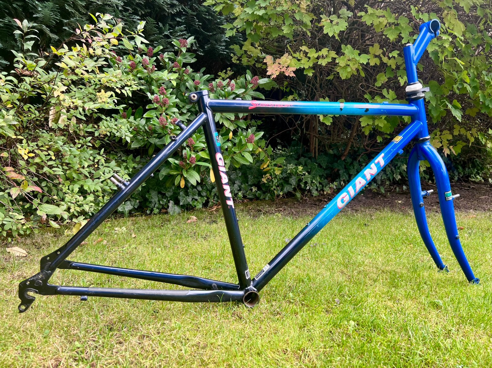 Giant Stonebreaker 90’s mtb FRAME !!, 53 tot 57 cm, Ophalen of Verzenden, Zo goed als nieuw, Giant