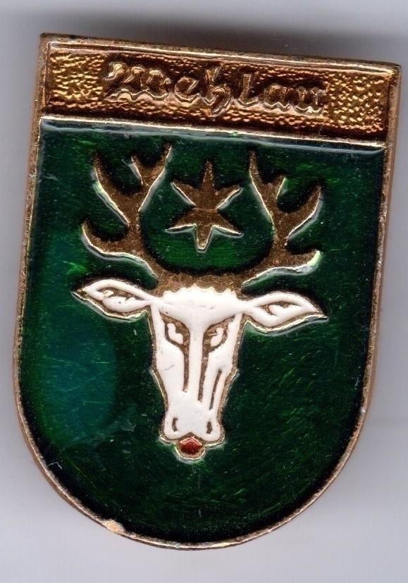 BROCHE WEHLAU KALININGRAD HERT STER (A6), Verzenden, Gebruikt, Overige onderwerpen