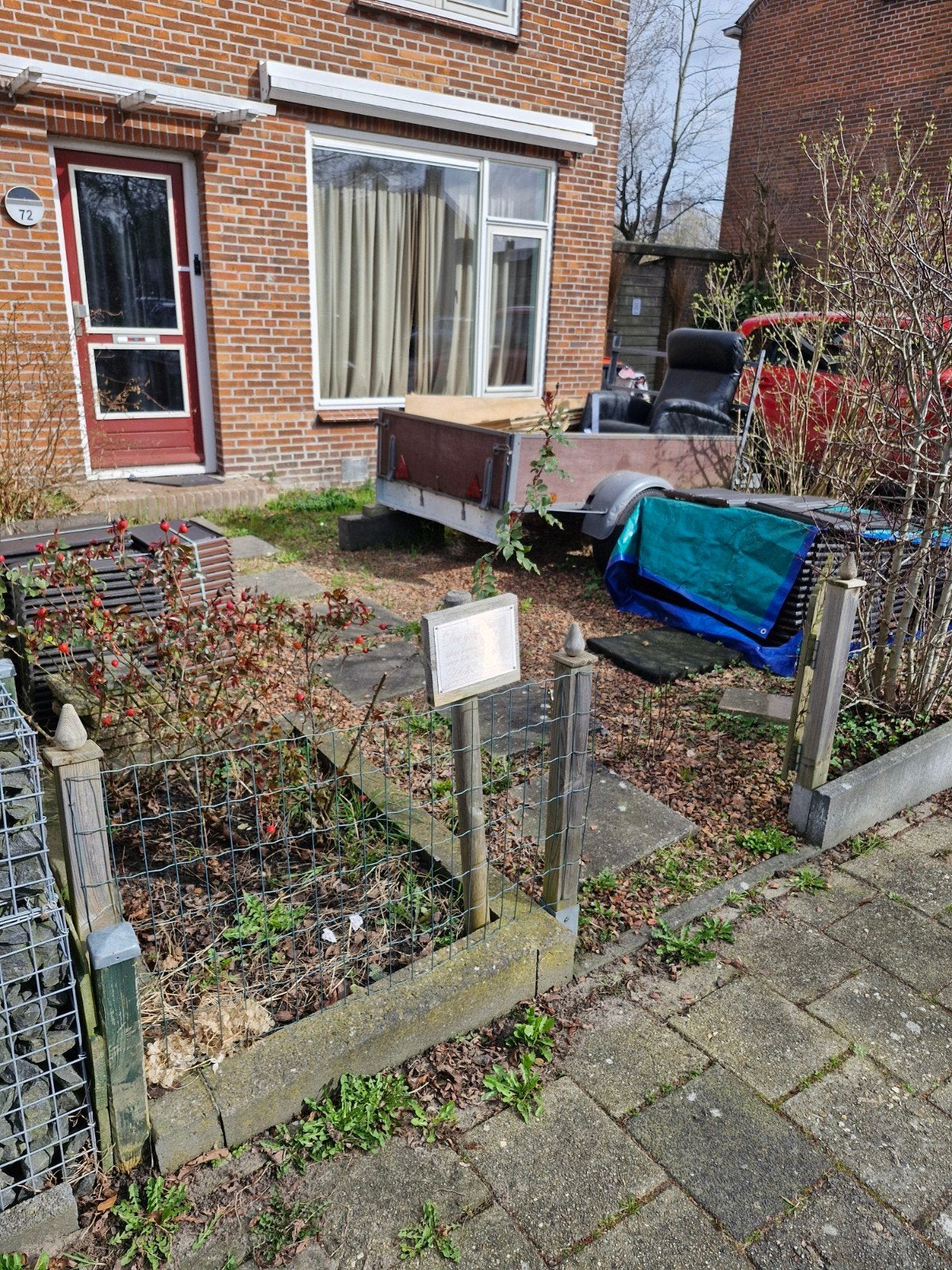 Gratis planten, boom (sering) en rood grind, Tuin en Terras, Planten | Tuinplanten, Ophalen