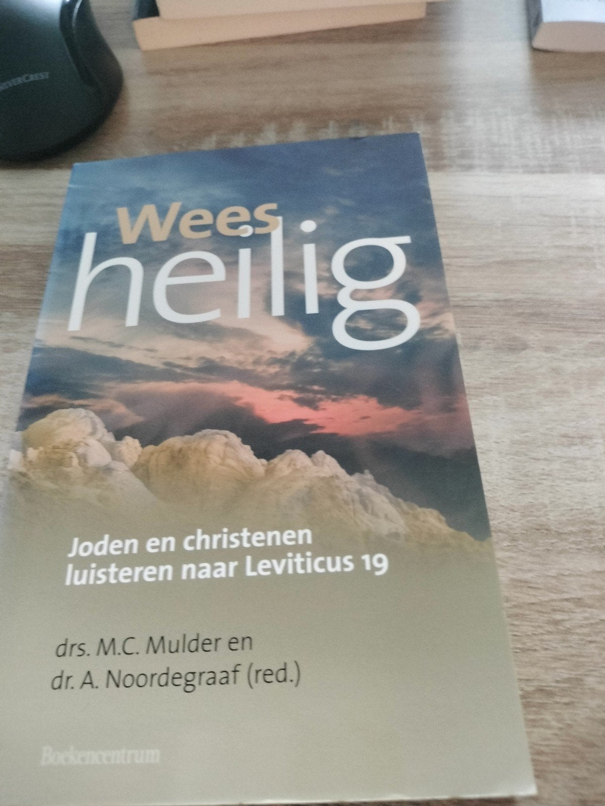 Wees Heilig: Joden en christenen luisteren naar Leviticus 19, Ophalen of Verzenden, Zo goed als nieuw