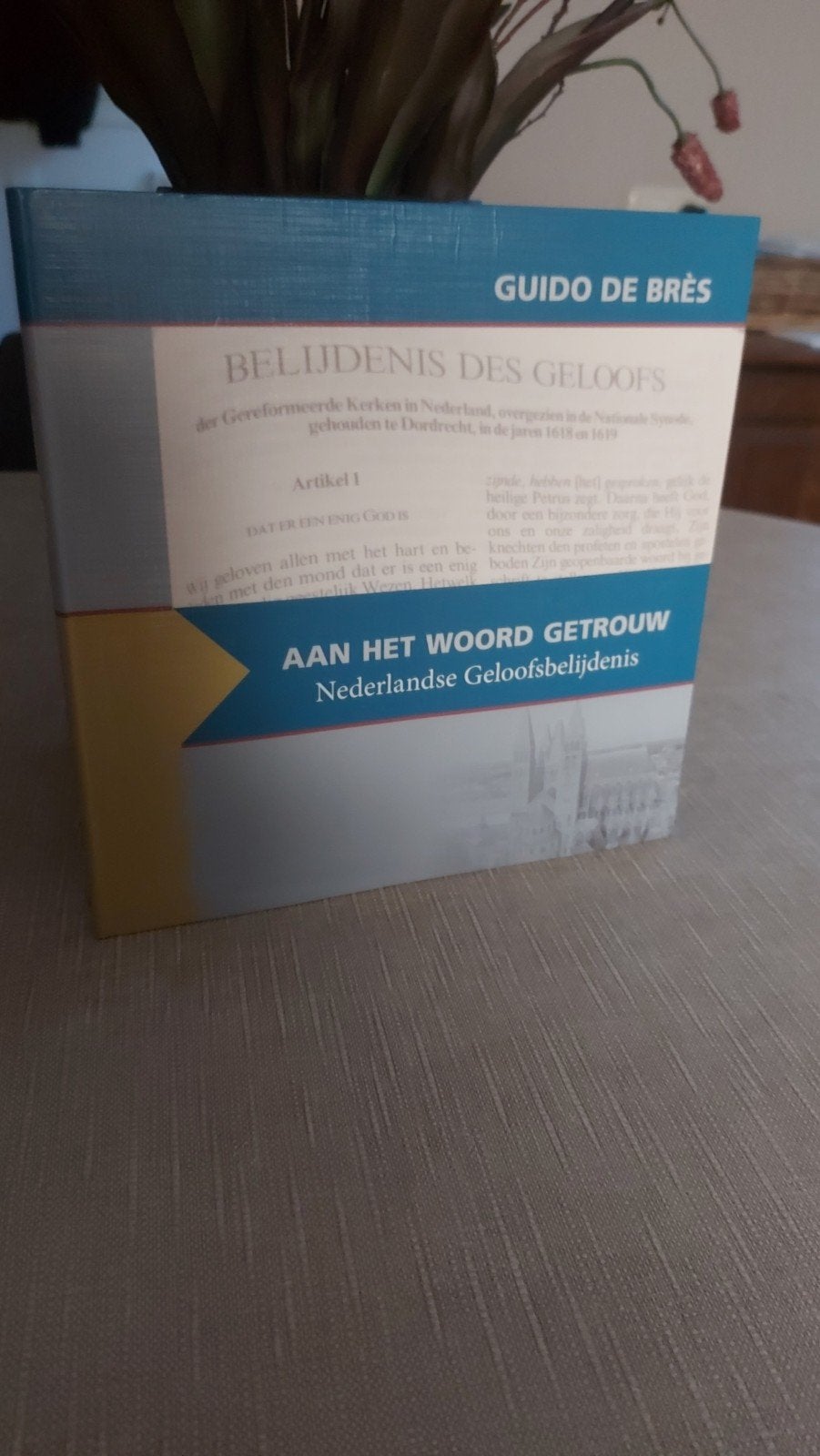 Blijdenis des Geloofs - Nederlandse Geloofsbelijdenis, Ophalen of Verzenden, Zo goed als nieuw, Guido de Brès, Christendom | Protestants