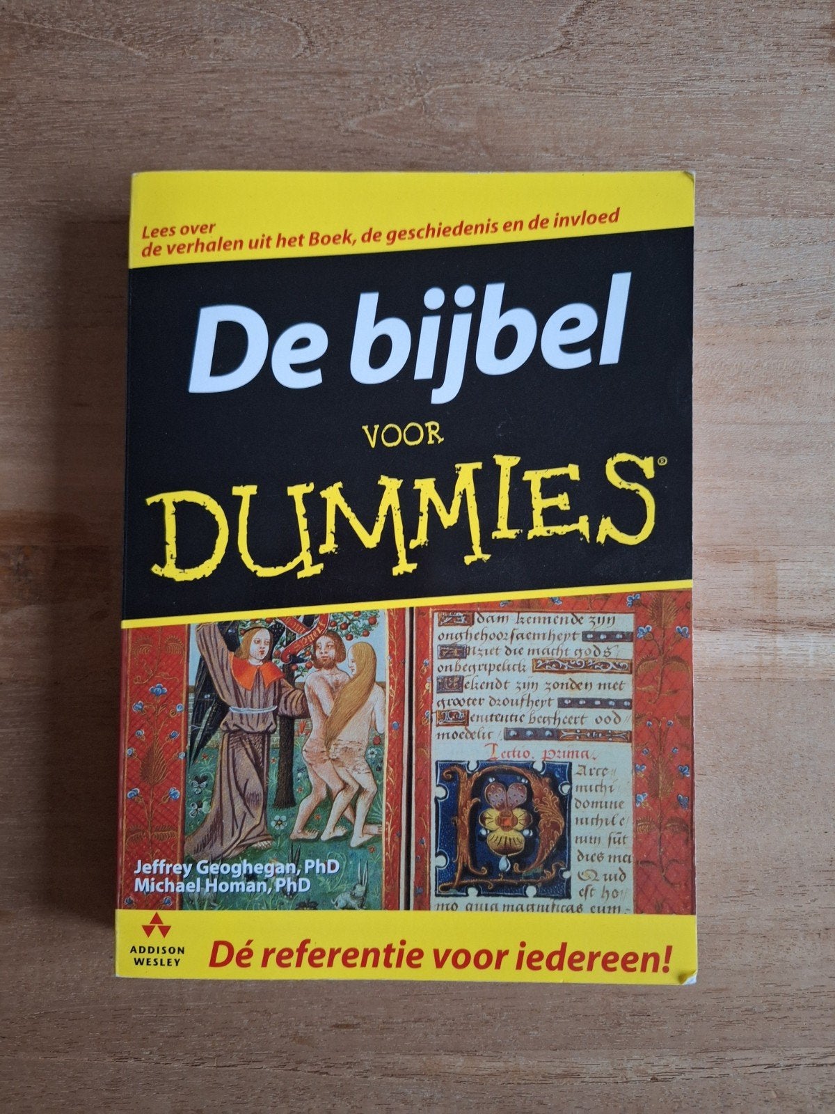 De Bijbel voor dummies, Boeken, Gelezen, Overige gebieden, Ophalen of Verzenden, Jeffrey Geoghegan en Michael Homan