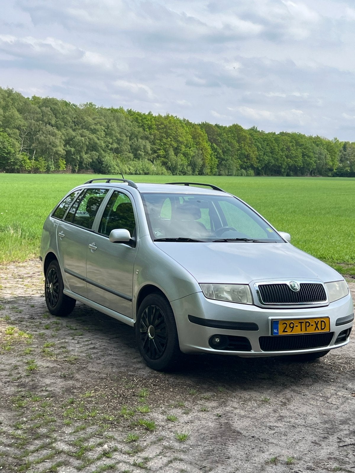 Skoda Fabia 1.4 Combi 59KW 2007 Grijs, Voorwielaandrijving, 4 cilinders, 1070 kg, 49 €/maand