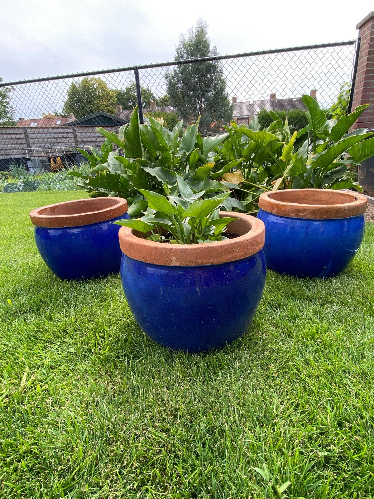 Set van 3 blauwe geglazuurde bloempotten van aardewerk, Tuin en Terras, Bloempotten, Gebruikt, Rond, Binnen, Minder dan 40 cm