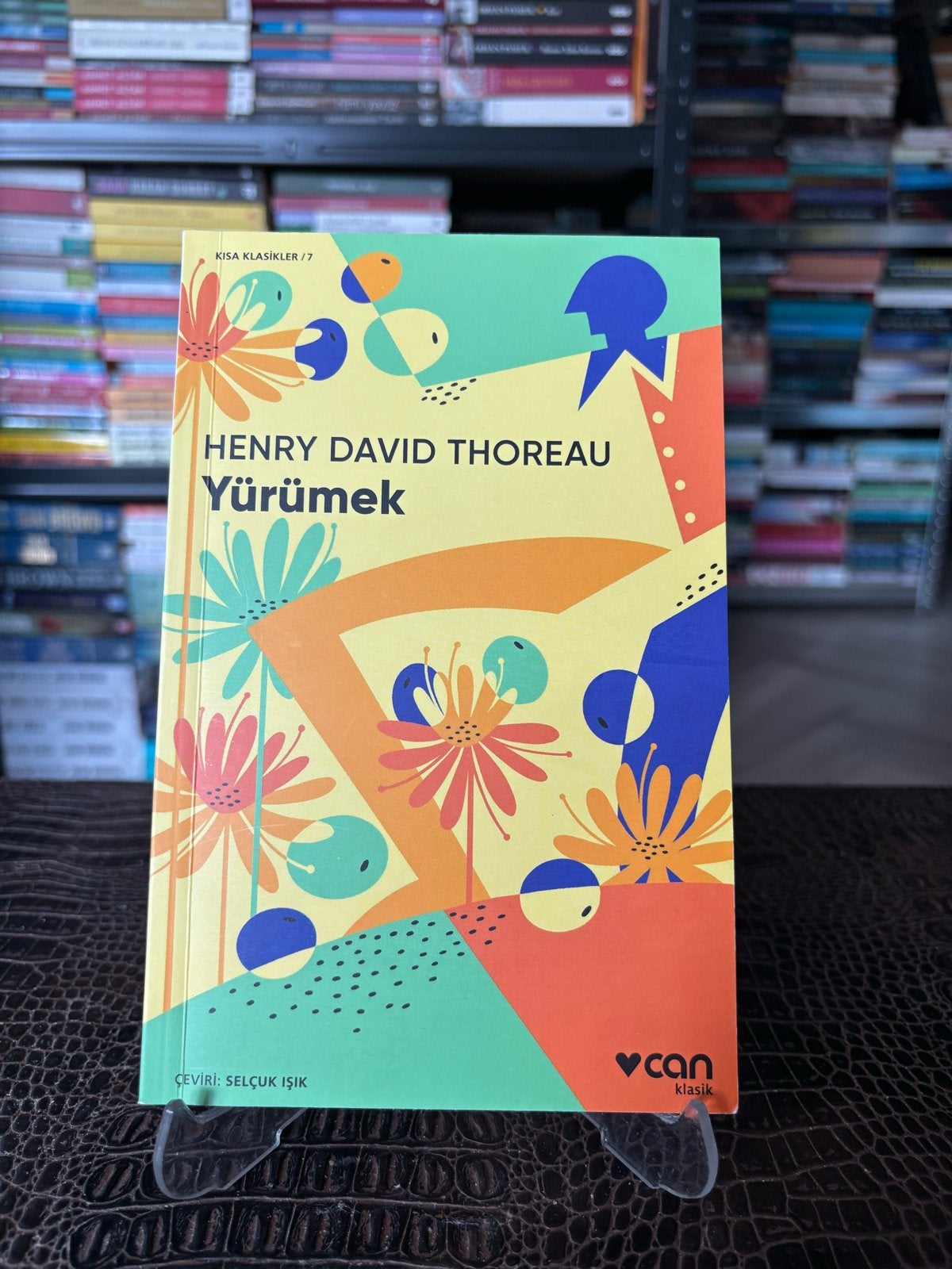 Yürümek - Henry David Thoreau (Turks), Boeken, Ophalen of Verzenden, Zo goed als nieuw, Wereld overig