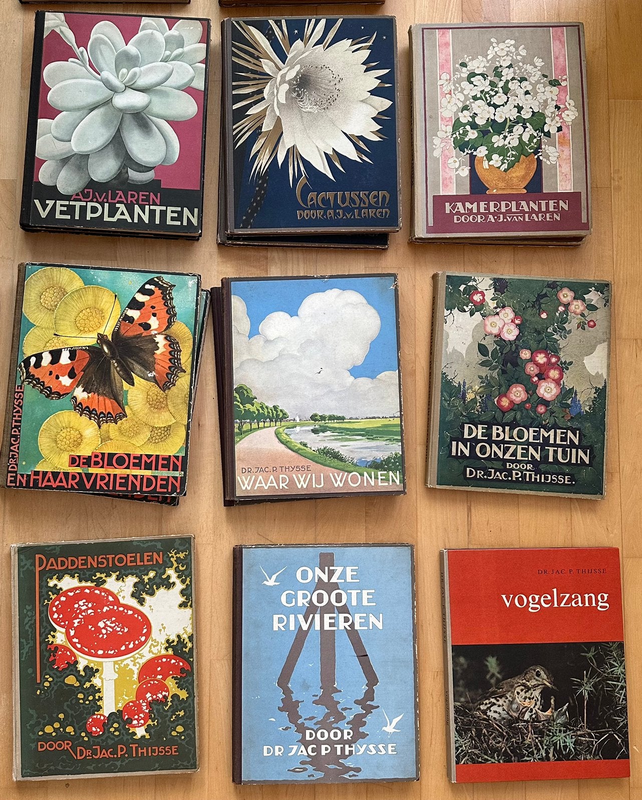 Verkade plaatjes albums, Ophalen of Verzenden, Gelezen, Plaatjesalbum