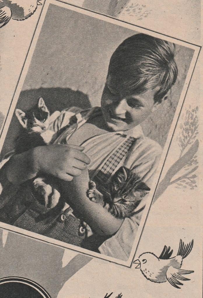 Retro reclame 1953 Gevaert film jongetje met kittens, Verzenden, Overige typen