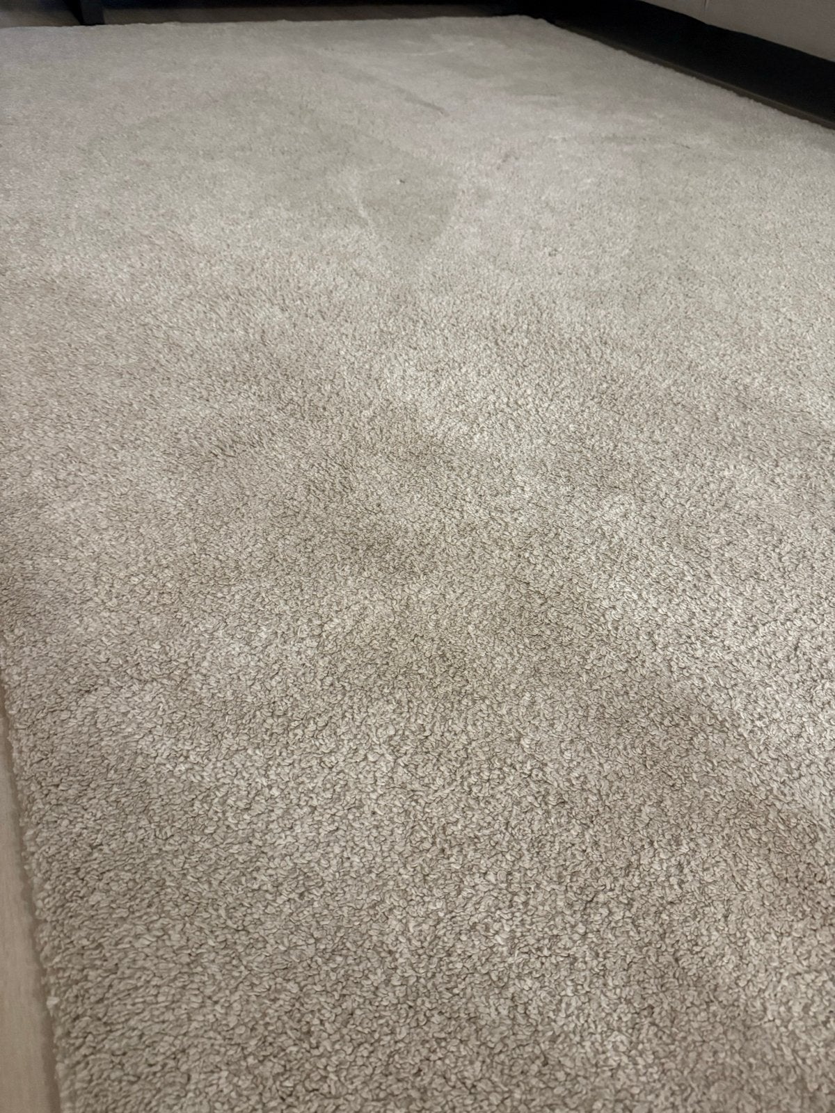 Stoense Vloerkleed Laagpolig Ecru 200x300 cm, Ophalen, Gebruikt, 200 cm of meer, Crème