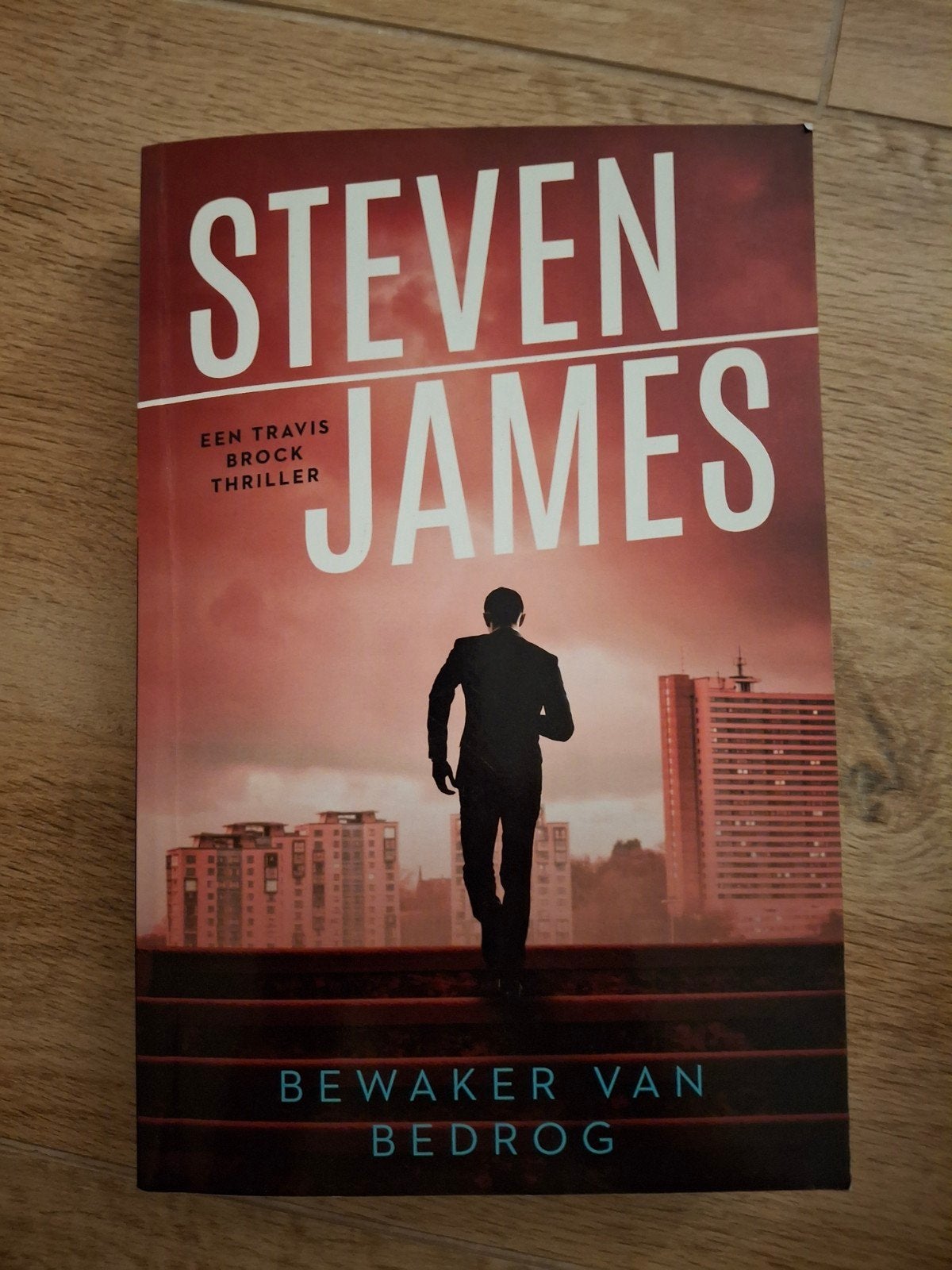 Steven James - Bewaker van bedrog, Ophalen of Verzenden, Zo goed als nieuw, Steven James