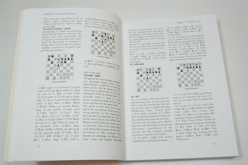 Endgame Virtuoso Karpov — Eindspeltechniek 358p, Boeken, Ophalen of Verzenden, Zo goed als nieuw, Watersport en Hengelsport