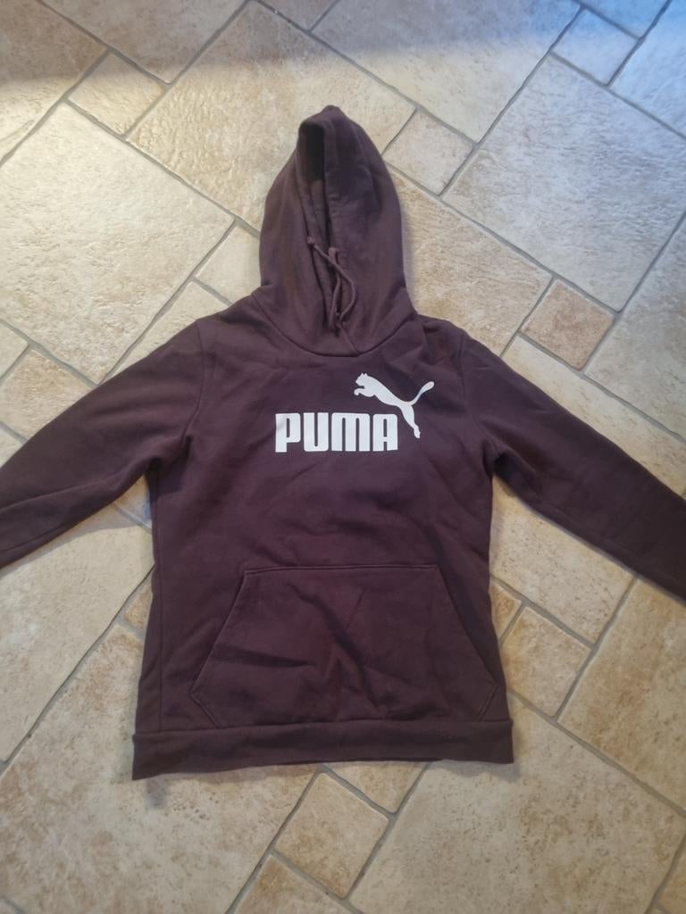 Mooie bordo rode puma trui maat s 36, Puma, Ophalen of Verzenden, Zo goed als nieuw, Maat 36 (S)