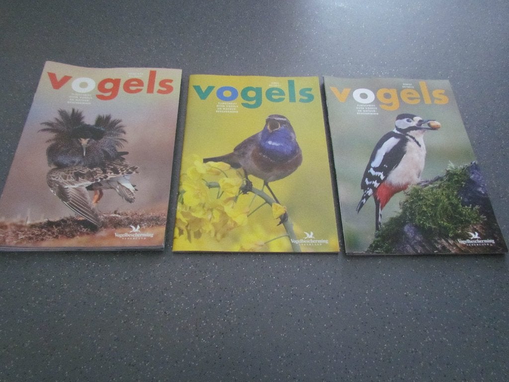 Vogels, Ophalen of Verzenden, Zo goed als nieuw, Vogels