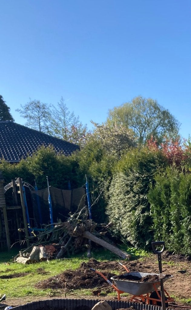GRATIS Hout voor houtkachel of vuurkorf, Minder dan 3 m³, Ophalen, Overige houtsoorten, Stammen