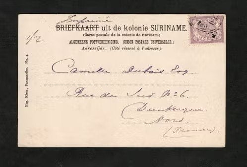 Suriname Paramaribo Gouvernementsplein Fietser., Ophalen of Verzenden, Voor 1920, Gelopen, Buiten Europa