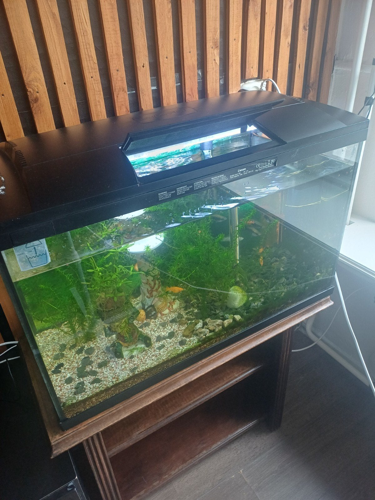 complete Aquarium met vissen, Ophalen, Zo goed als nieuw, Gevuld zoetwateraquarium